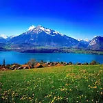 Thun Alps Scenic Views And Concierge By Swisshut 公寓