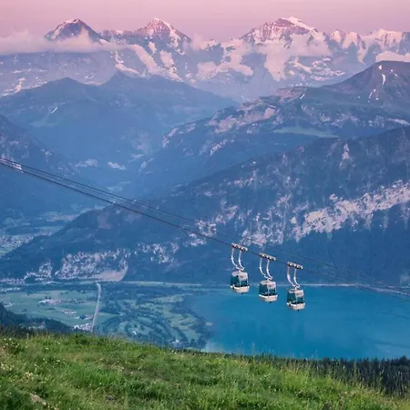 Lake Thun Alps Scenic Views And Concierge By Swisshut *