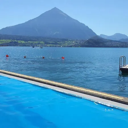 Lake Thun Alps Scenic Views And Concierge By Swisshut * Sigriswil