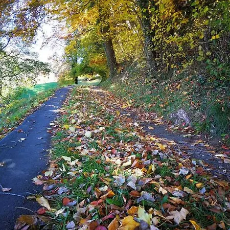 Lake Thun Alps Scenic Views And Concierge By Swisshut * Sigriswil