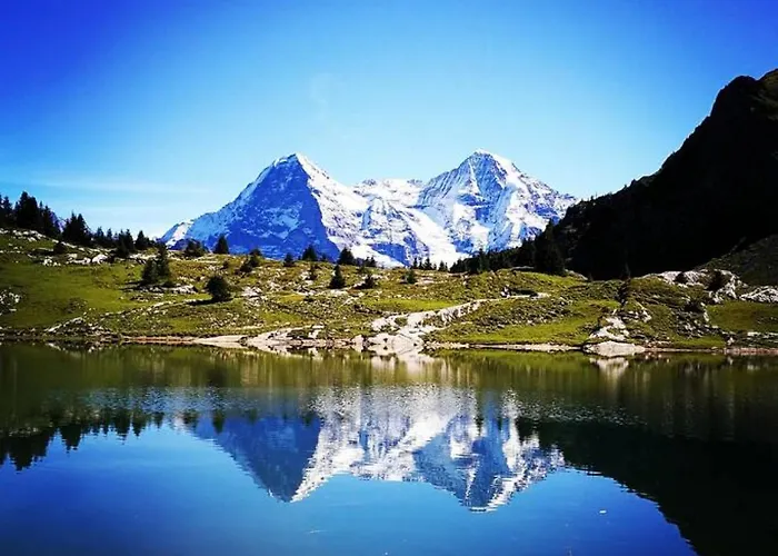 Lejlighed Thun Alps Scenic Views And Concierge By Swisshut *