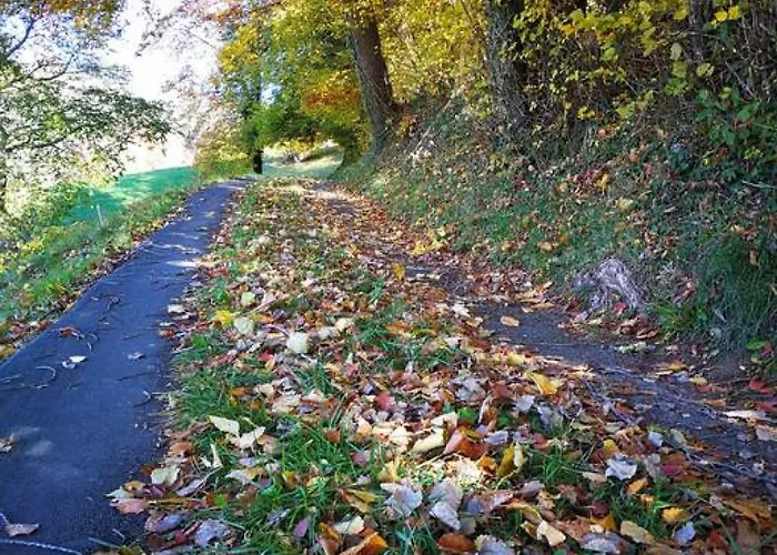 Thun Alps Scenic Views And Concierge By Swisshut * Sigriswil