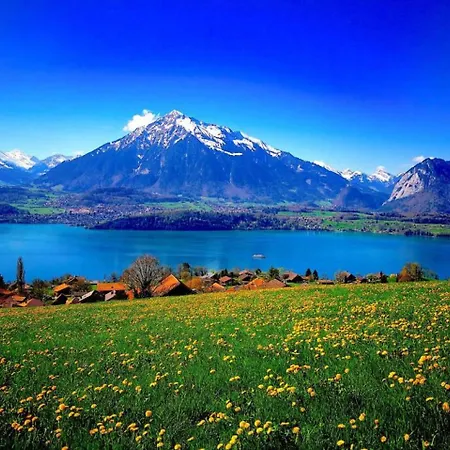 Thun Alps Scenic Views And Concierge By Swisshut Apartamento
