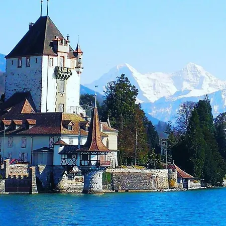 Thun Alps Scenic Views And Concierge By Swisshut Apartamento Sigriswil